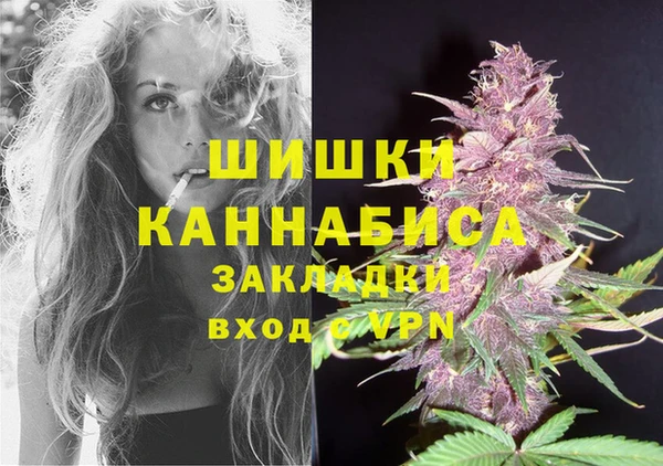 бошки Богданович